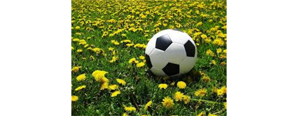 Spring Soccer 2025!